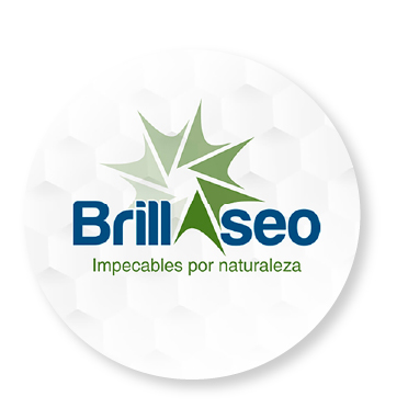 BrillAseo-100